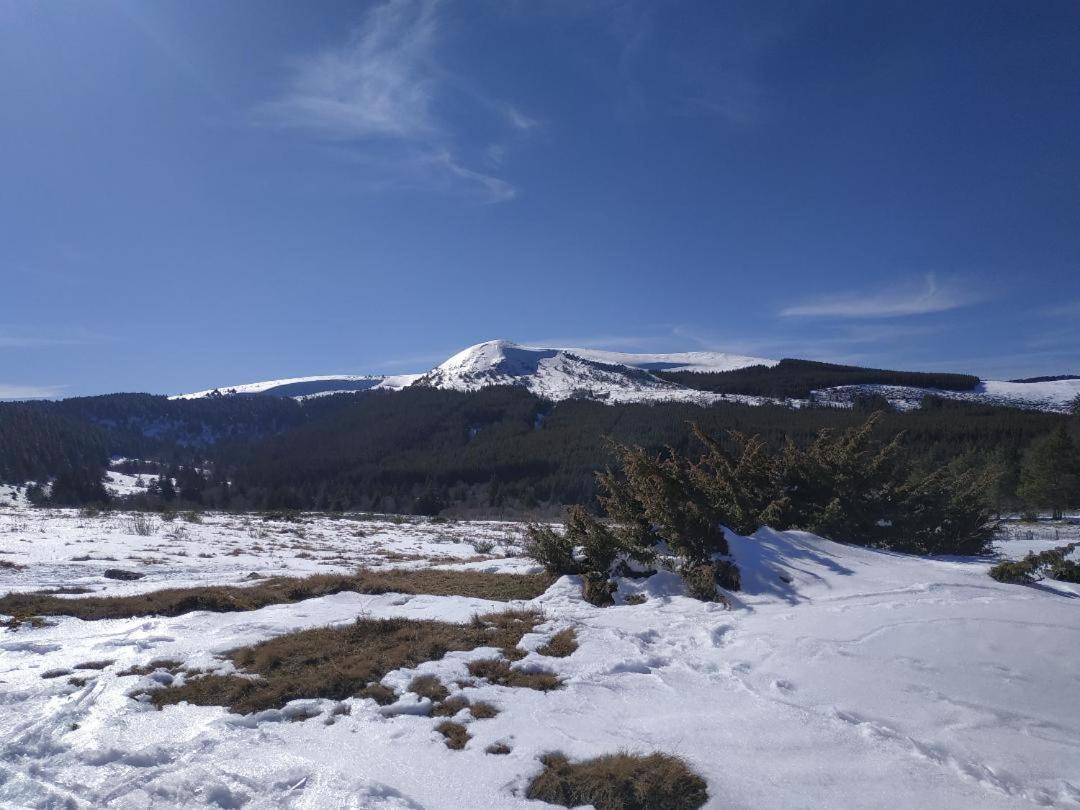 Nid Sous Le Volcan Saint-Sandoux Buitenkant foto